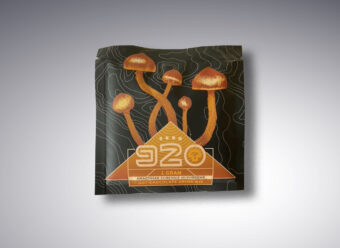 Room 920 mushroom Hot Chocolate
