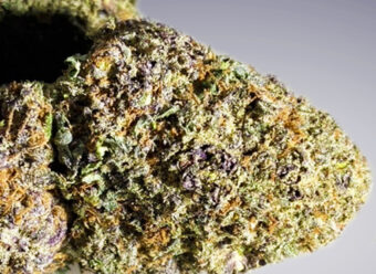Grand Daddy Purple