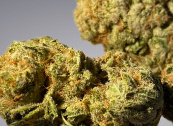 Mandarin Cookies