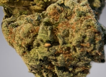 Frosted Flakes