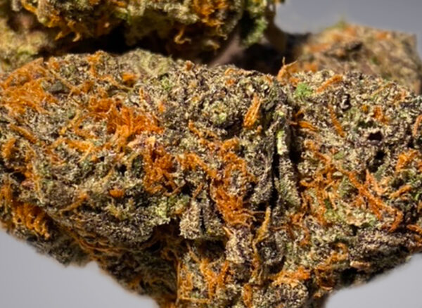 Cactus Breath