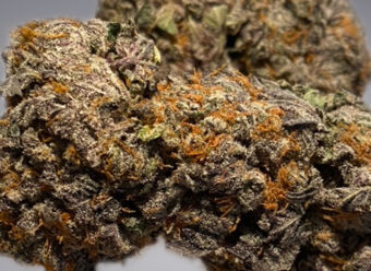 Tyson OG