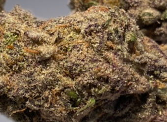 Pink Gelato