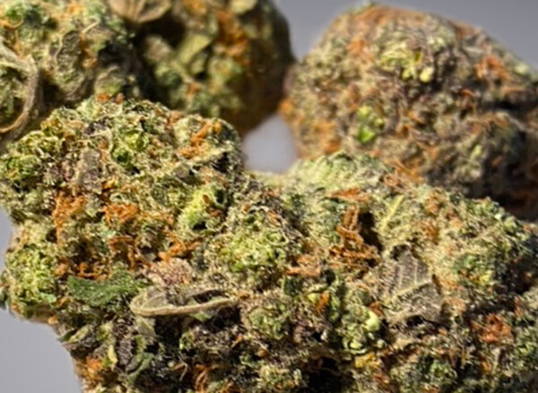 Lambs Breath